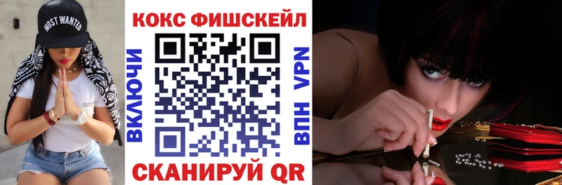 Cocaine FishScale магазин наркотиков Зеленодольск