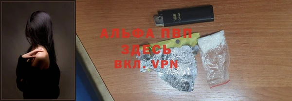 сатива Приозерск