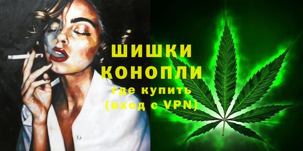 сатива Приозерск