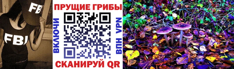 blacksprut вход  Зеленодольск  Псилоцибиновые грибы прущие грибы 